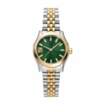 Γυναικείο Ρολόι DKNY από Χρυσό Ανοξείδωτο Ατσάλι με Πράσινο Καντράν | EssentialsSku:DK1L156M0095