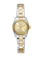 DKNY Mini Γυναικείο Ρολόι 23mm Μπαταρίας με Χρυσό Μεταλλικό Μπρασελέ